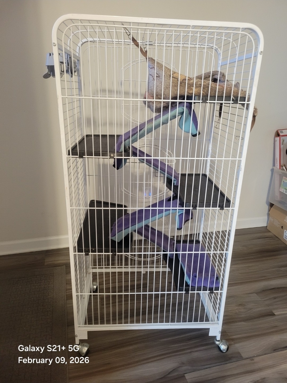 White Small Animal Cage with Purple & Teal Ramps